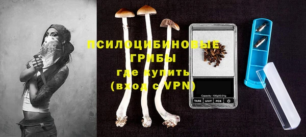 марки lsd Богданович