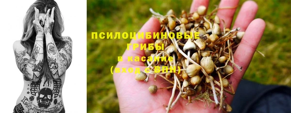 винт Богородицк
